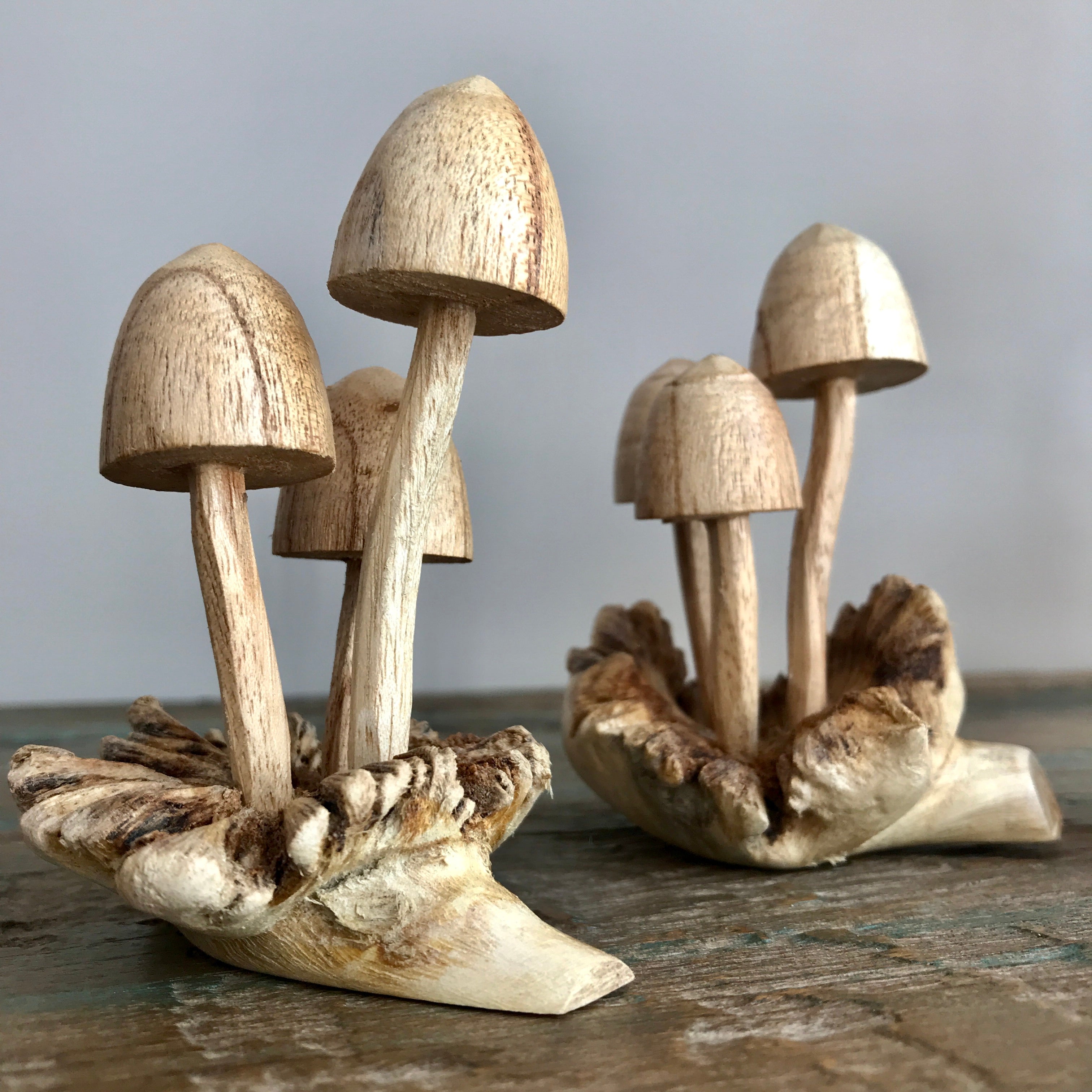 Hand Carved Wooden Mushrooms