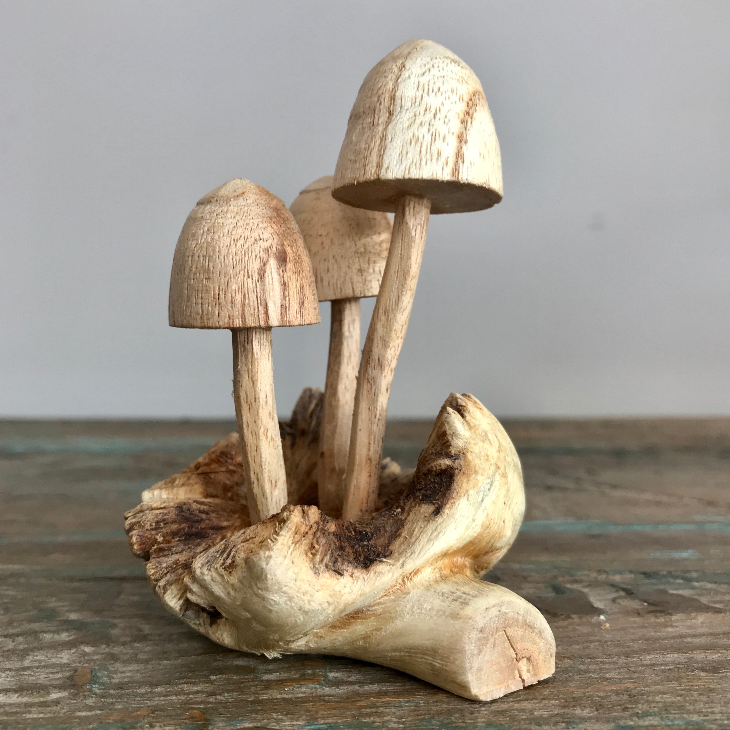 Carved Wooden Mushrooms - Design 1 – EthicalRoots