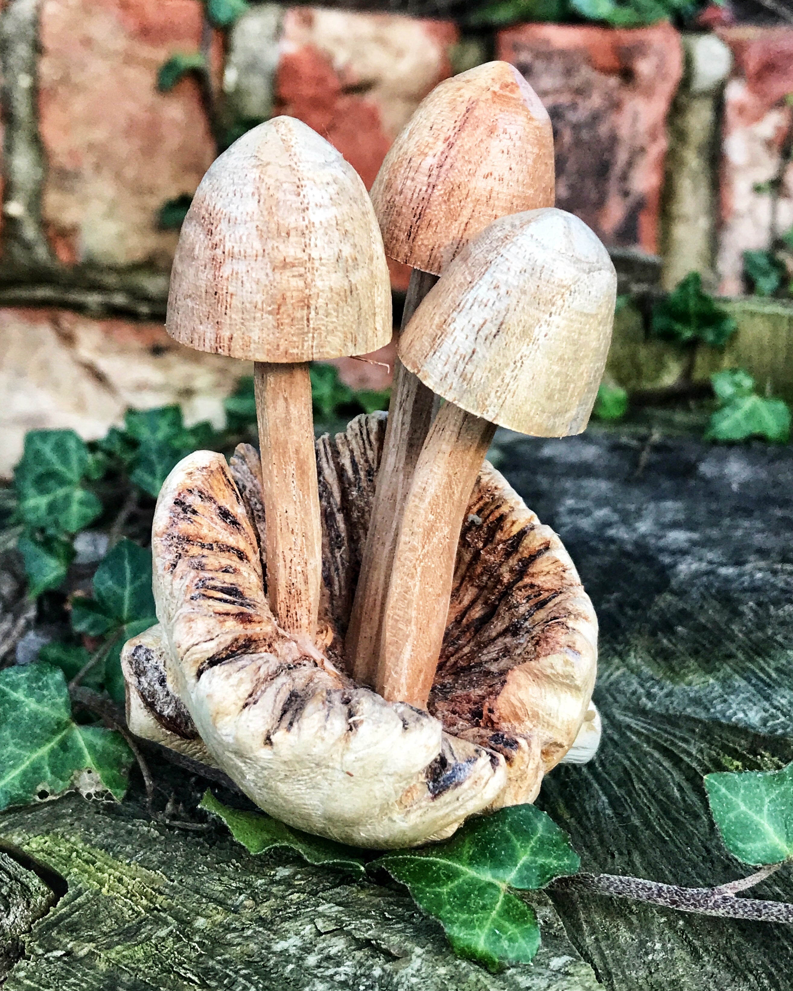 Hand Craved Wooden Mushrooms