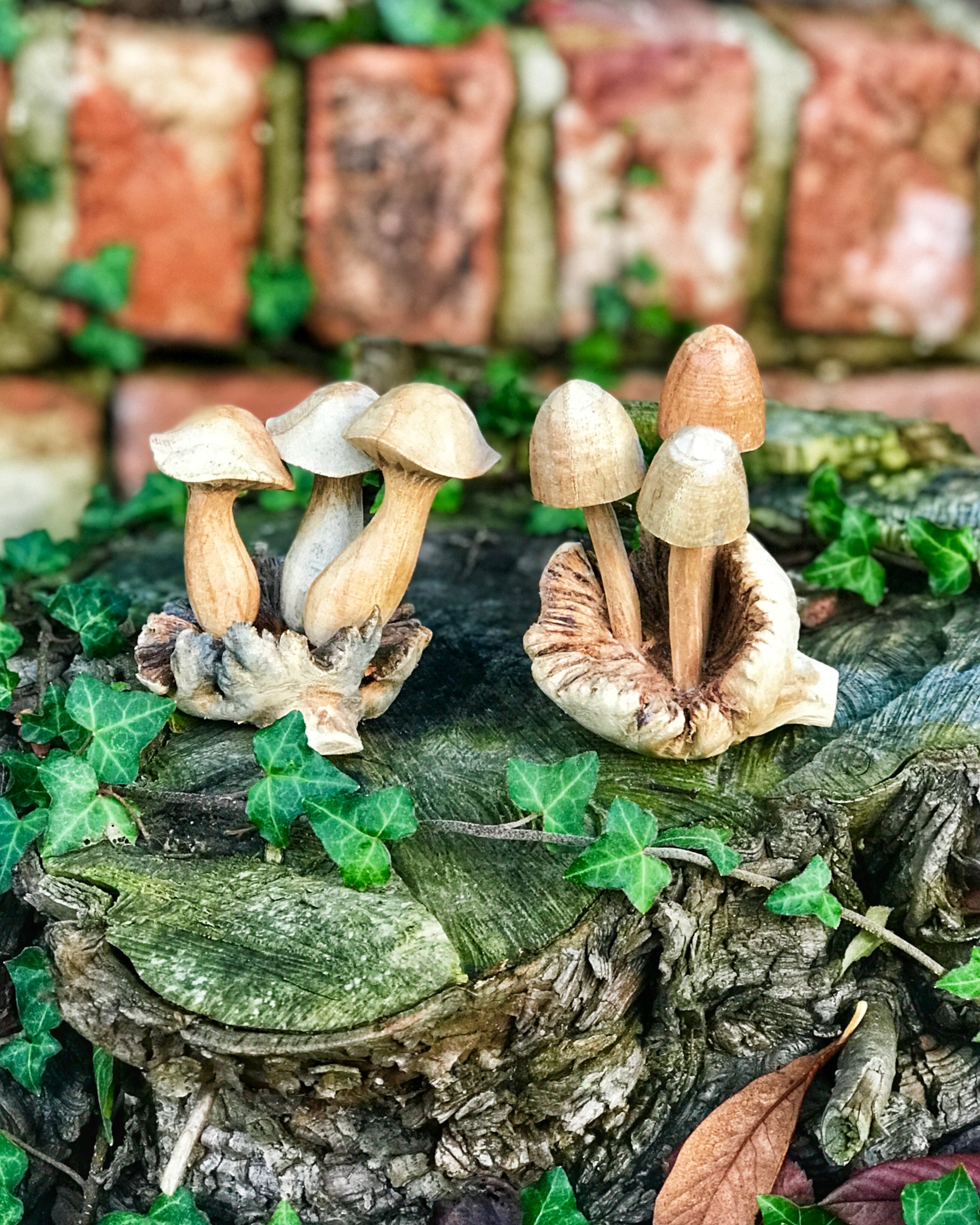 Hand Carved Wooden Mushrooms